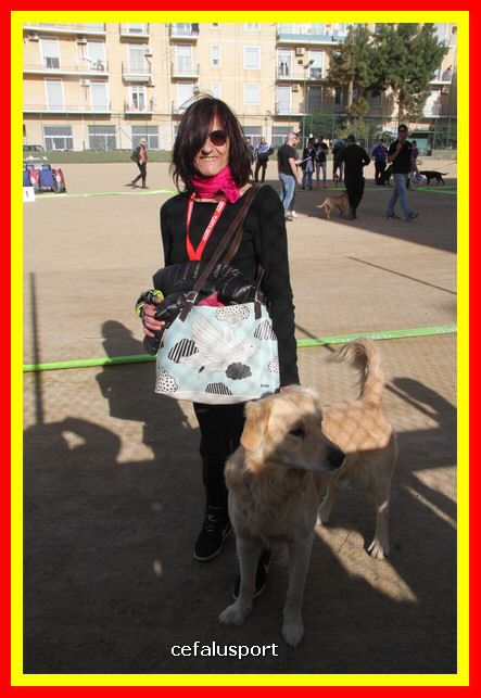 180311 mostra_canina 089.jpg